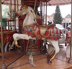 pferd